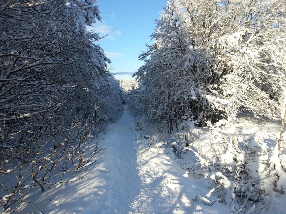 종루프 롱지메르 Chalet Biazot 빌라 외부 사진